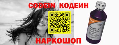 индика Камышлов