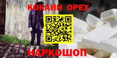 индика Камышлов