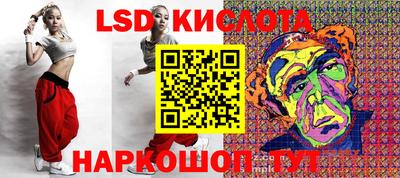 индика Камышлов