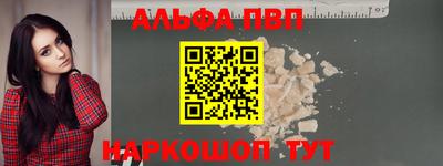 индика Камышлов