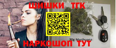 индика Камышлов