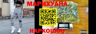 индика Камышлов