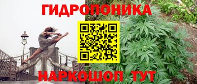 крисы Канаш