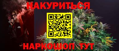 индика Камышлов