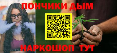 индика Камышлов